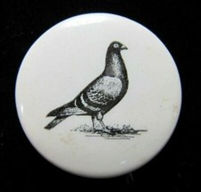 Old pigeon pin d'occasion  Expédié en Belgium