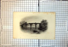 Old print bothwell for sale  UK