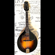 Kentucky 270 mandolin for sale  Bristol