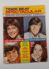 Tiger beat spectacular for sale  Berwick