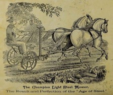 Champion light steel for sale  Holland