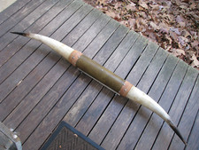 Large mounted long for sale  Holliston