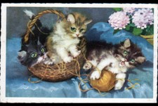 Chatons tricot jeu d'occasion  Baugy