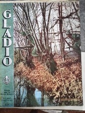 Rarissima rivista della usato  Latina