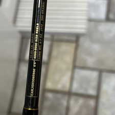 Penn carnage jigging for sale  Brick