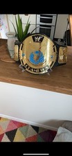 Wwf big eagle for sale  CASTLEDERG