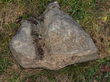 Findling zur gartengestaltung gebraucht kaufen  Meiningen