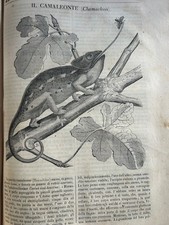 Raro articolo stampa usato Raro articolo stampa usato  Viu