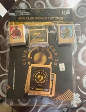 Panini fifa club usato  Roma