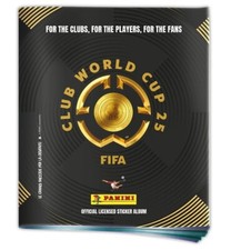 Mancolista panini fifa usato  Anagni