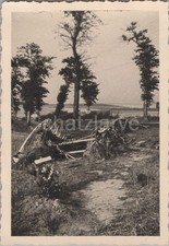 Foto beob abt gebraucht kaufen  Jena