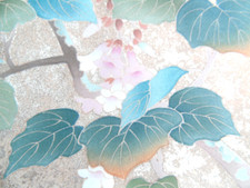 Ayane paulownias japanese for sale  HATFIELD