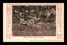 CARTÃO POSTAL NÃO PUBLICADO QUEBRANDO VAGENS DE CACAU E TORTO comprar usado  Enviando para Brazil