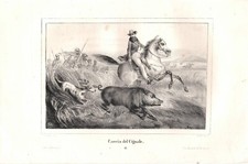 Stampa antica caccia usato  Lecco