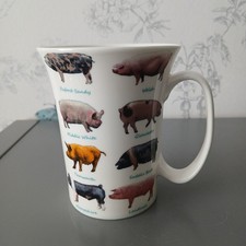 Leonardo collection mug for sale  ORMSKIRK
