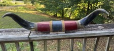 Authentic bull horns for sale  Portsmouth