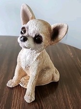Chihuahua 1988 animal for sale  Ocklawaha