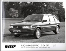 Maestro 2.0 efi for sale  UK