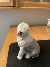 dulux dog for sale dulux dog for sale  STOKE-ON-TRENT