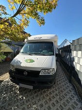 Wohnmobil fiat ducato gebraucht kaufen  Rastatt