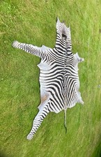 Steppenzebra fell namibia gebraucht kaufen  Blankenheim