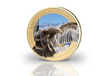 Euro vergoldet andorra gebraucht kaufen  Wollmatingen