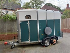 Ifor wlliams horse for sale  READING