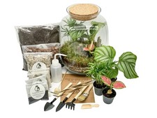 Diy terrarium kit for sale  LONDON