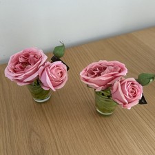 Bloom pink roses for sale  PRESTATYN