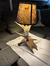 Fabulous moose antler for sale  Turtle Lake