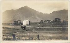 1915 photo oahu for sale  Springfield