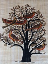 Papiro egiziano albero usato  San Mango Piemonte