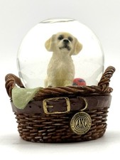 Akc labrador retriever for sale  Loves Park