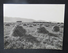 Williams california c1910 for sale  Santa Rosa