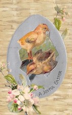 Easter chicks break for sale  Newton