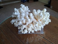 Vintage beautiful large for sale  Lake Zurich