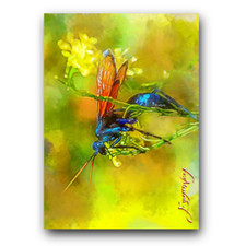 Tarantula hawk art for sale  Pasco