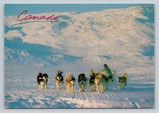 Canada northern baffin usato  Spedire a Italy