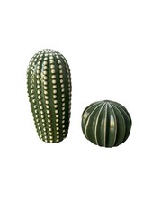 Desert cactus ceramic for sale  Ormond Beach