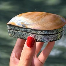 Piccolo scrigno valva usato  Valgreghentino