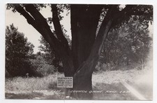 1940s rppc custer for sale  Cody