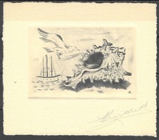 Libris bird shell d'occasion  La Ciotat