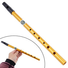 Hole irish whistle for sale  GLASGOW