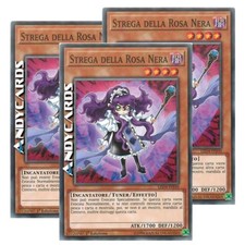 Strega della rosa usato  Ravenna