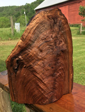 Black walnut blank for sale  Head Waters