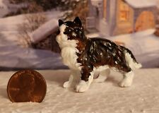Custom cat kitten for sale  Gravette