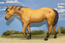 Buckskin indian pony for sale  Folsom