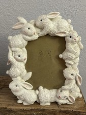 White bunny rabbit for sale  Choctaw