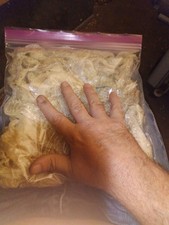 Real snake sheds for sale  Houston