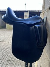 Black country dressage for sale  SOUTHAMPTON